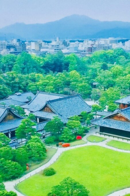 Kyoto: Tour to Kyoto Imperial Palace and Nijo Castle - Private Group Experience