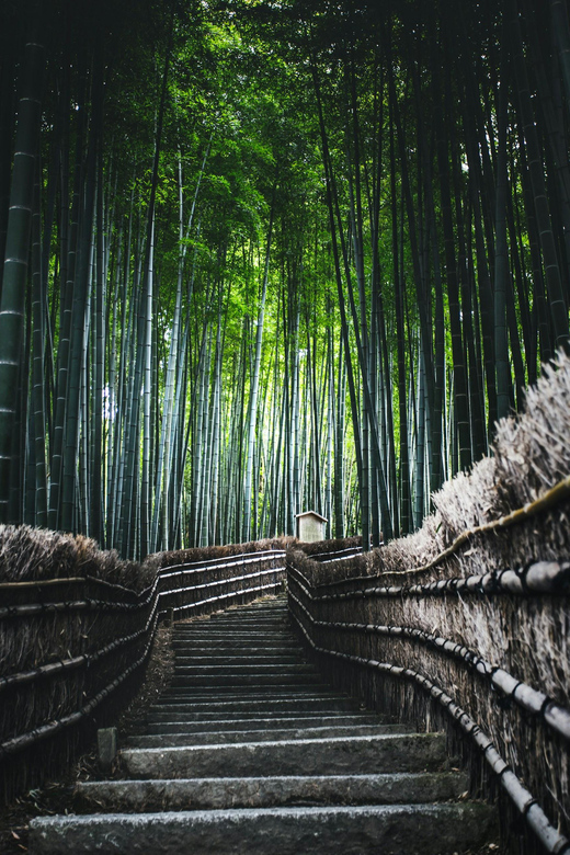 Kyoto: Trip Private Sightseeing Customised English Guided - Arashiyama Bamboo Forest