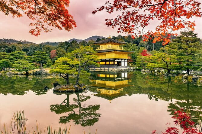 Kyoto & Uji: Full Day Sightseeing Tour From Osaka or Kyoto - Accessibility and Participation