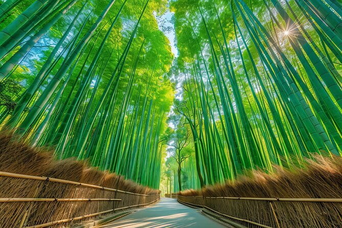Kyoto & Uji: Full Day Sightseeing Tour From Osaka or Kyoto - Getting to the Meeting Point