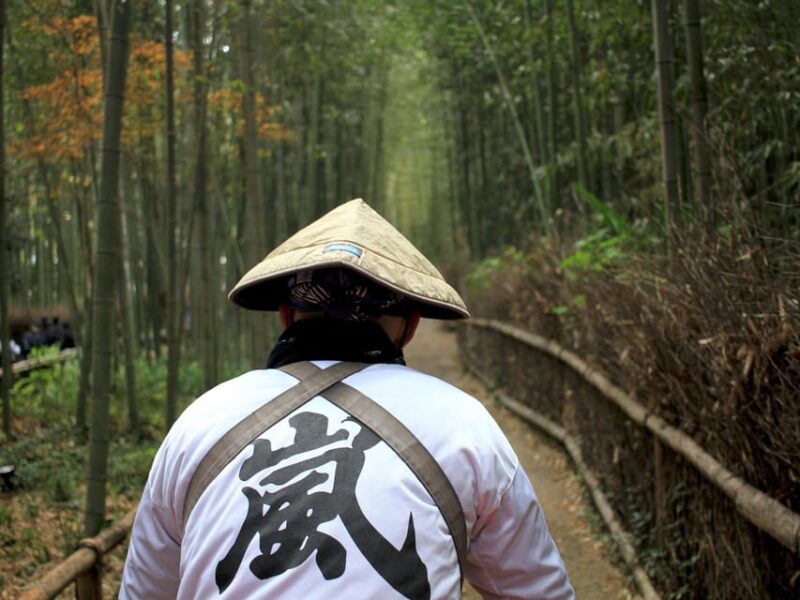Kyoto: UNESCO Sites, Shrines, and Temples Guided Tour - Admiring Kinkaku-ji (Golden Pavilion)