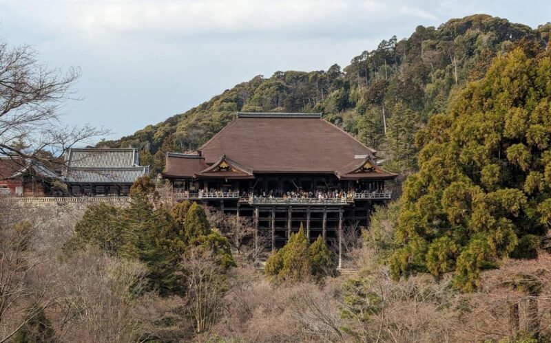 Kyoto: Unscripted Walking Tours W/Locals 3h 5h 8h - Inclusions and Exclusions