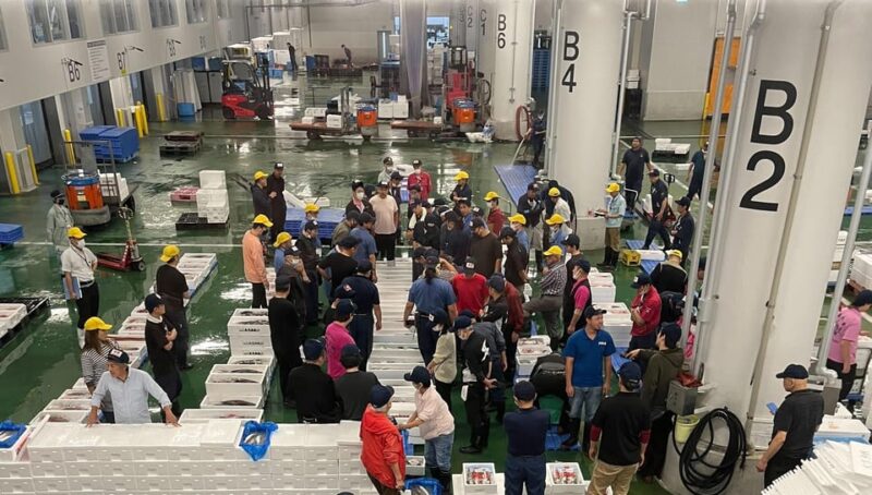 Kyoto: Wholesale Fish Market Walking Tour - Witness the Dynamic Fish Bidding Process