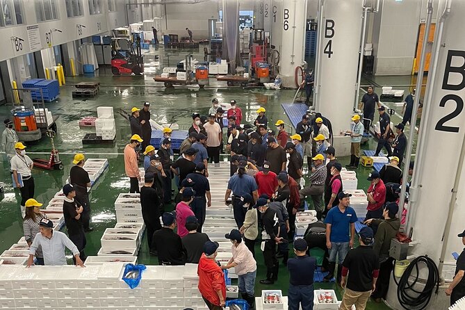 Kyoto Wholesale Fish Market Walking Tour - Witnessing the Lively Tuna Auction
