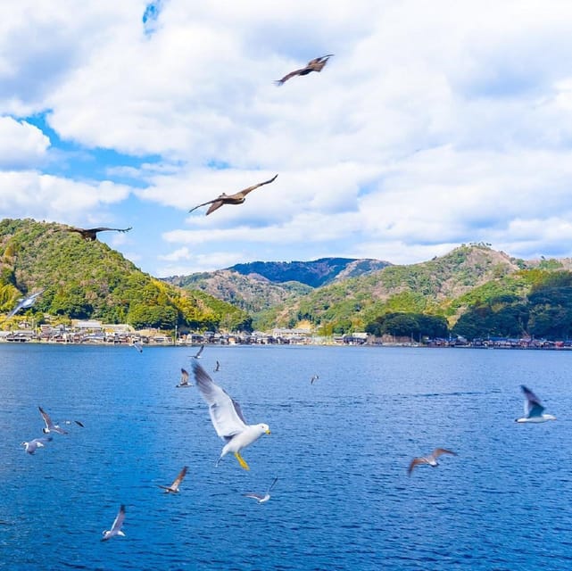 Kyotos Coast Full Day Tour: Amanohashidate And Ine Bay - Indulging in Optional Activities