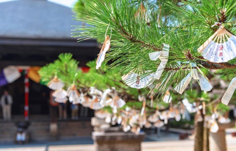Kyotos Coast Full Day Tour: Amanohashidate And Ine Bay - Engaging in Scenic Cycling and Boat Rides