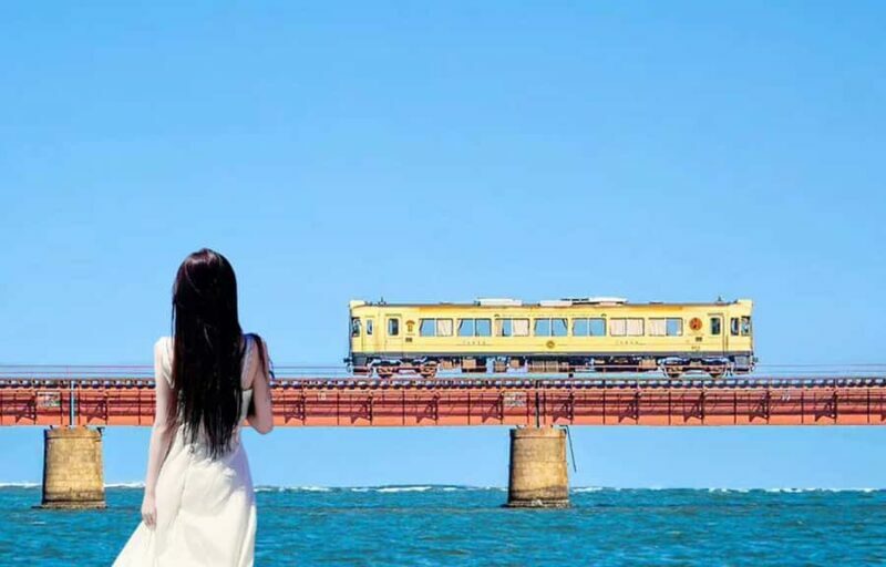 Kyotos Coastal Day Tour With Sea-Side Sightseeing Train - Who is This Tour Best For?