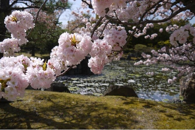 Kyotos World Heritage Walking Tour From Kyoto St. - Transportation and Accessibility