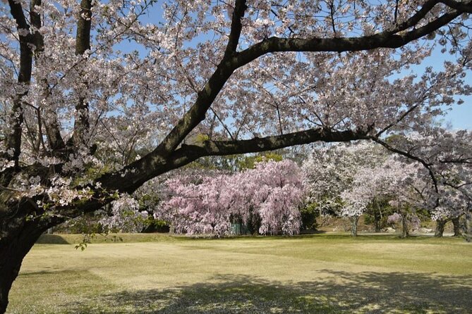 Kyotos World Heritage Walking Tour From Kyoto St. - Important Information
