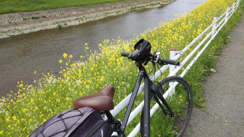 Kyoto:Three Gardens Bike Tour - Exploring Kyotos Byways