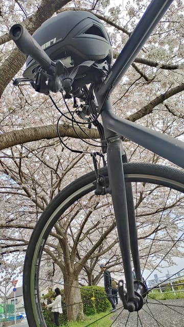 Kyoto:Three Gardens Bike Tour - Japanese Culture and Heritage