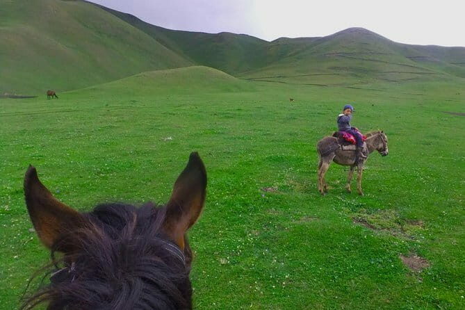 Kyrgyz Family Dinner: Meet, Eat, and Talk - The Sum Up
