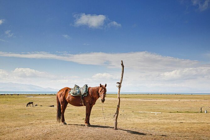 Kyrgyzstan Highland Lakes and Yurt Camps Adventure Trip - Who Will Love This Tour?