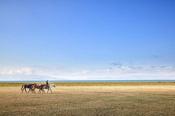 Kyrgyzstan Highland Lakes and Yurt Camps Adventure Trip - The Sum Up: Is This Tour Right for You?