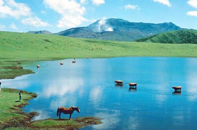 Kyushu: Aso Volcano, Aso Shrine, Kurokawa Onsen 1-Day Tour - Included Services and Amenities