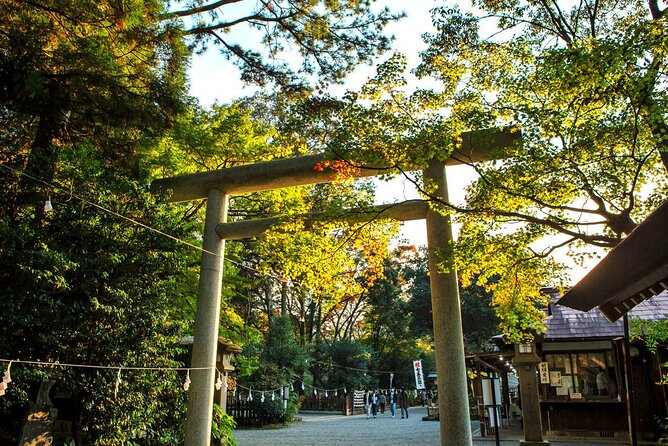 Kyushu Day Trip to Takachiho Gorge and Shrines From Fukuoka - Pricing and Cancellation Policy