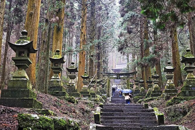 Kyushu Kamishiromi Shrine, Amano Iwato, and Takachiho Gorge Tour - What to Expect on the Journey