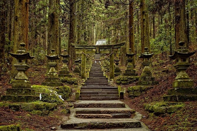 Kyushu Kamishiromi Shrine, Amano Iwato, and Takachiho Gorge Tour - Preparing for Your Kyushu Adventure