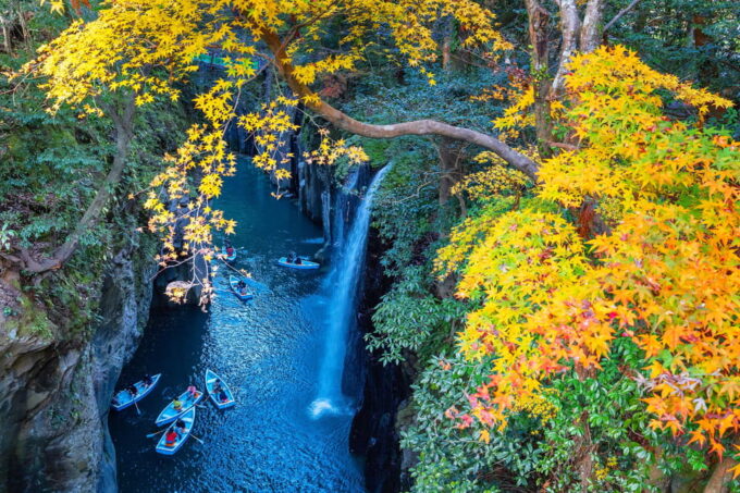 Kyushu: Kamisiki Mikumano Shrine & Takachiho Gorge Day Tour - Customer Experience and Reviews