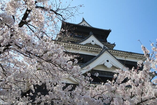 Kyushu Kumamoto and Aso Volcano Castle Day Tour From Hakata - Accessibility and Participation