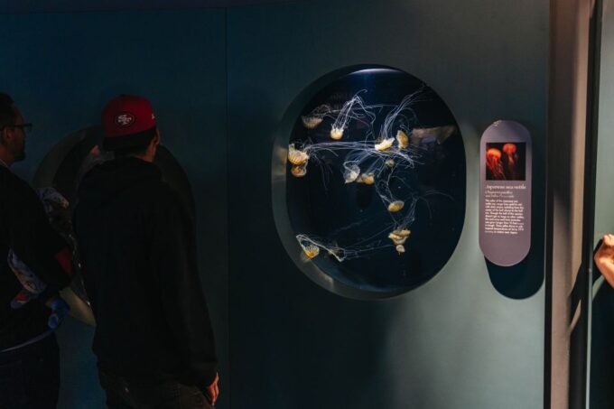 LA: Aquarium of the Pacific Skip-the-Line Entry - Visitor Amenities and Accessibility