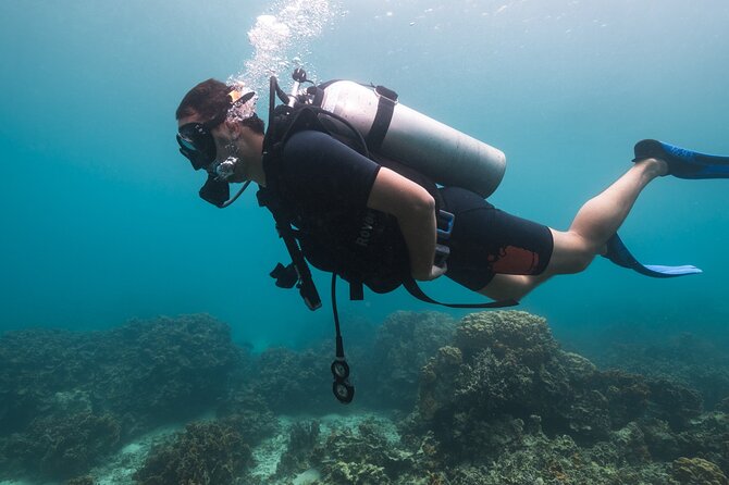 La Bombona Diving Koh Tao Try Dive - Customer Reviews