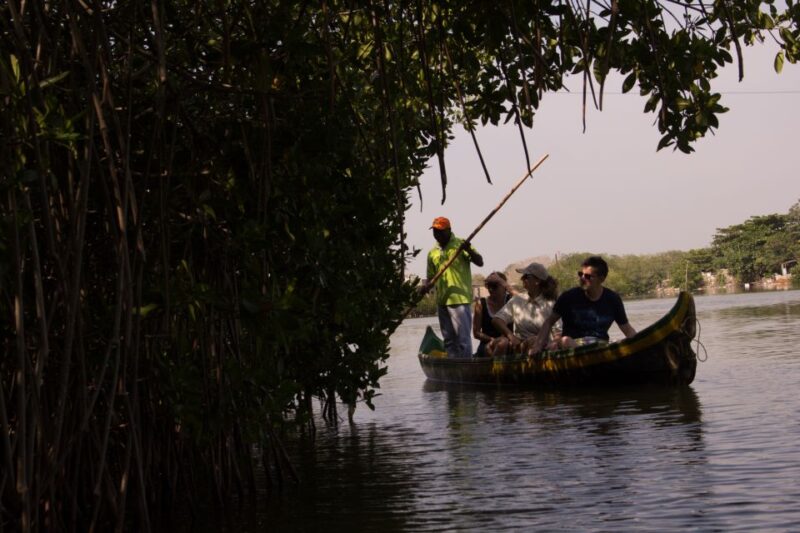 La Boquilla: 3-Hour Canoe Tour Through the Mangroves - Key Points