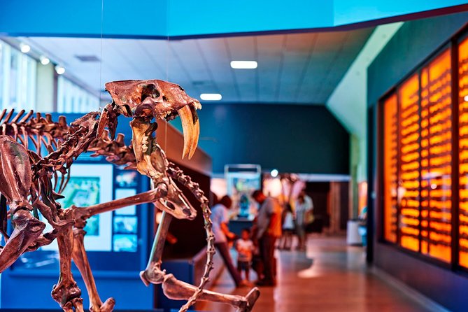 La Brea Tar Pits and Museum Admission Ticket With Excavator Tour - Excavation and Preservation Efforts