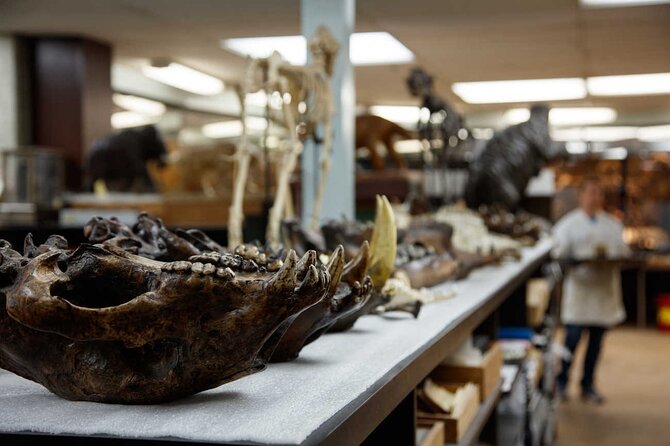 La Brea Tar Pits and Museum Admission Ticket With Excavator Tour - Facility Details and Accessibility
