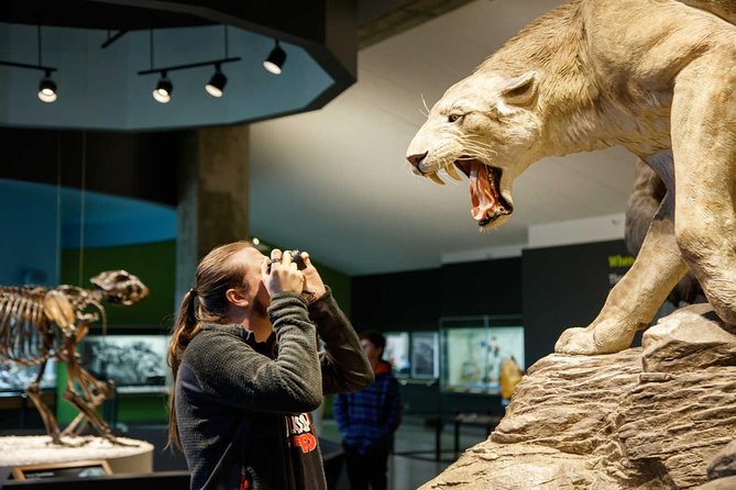 La Brea Tar Pits and Museum Admission Ticket With Excavator Tour - Visitor Reviews and Ratings