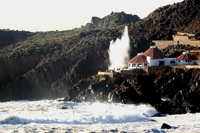 La Bufadora Tour in Baja California - Not Included