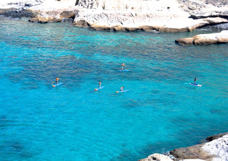 La Caleta Stand up Paddle Excursions and Snorkeling - Meeting Location
