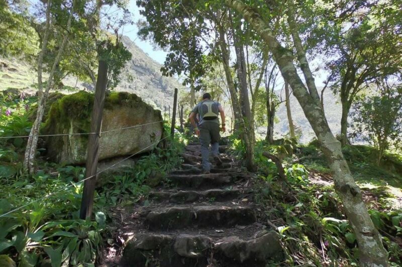 La Chorrera and Chiflon Waterfalls Private Hike Tour - Return Journey