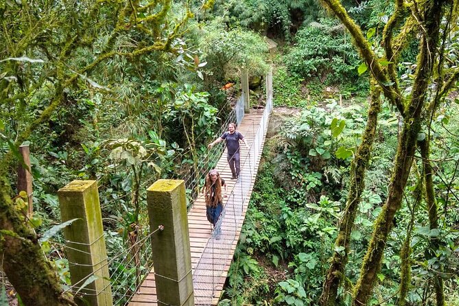 La Chorrera Cloud Forest & Waterfall Hike - Exploring the Cloud Forest