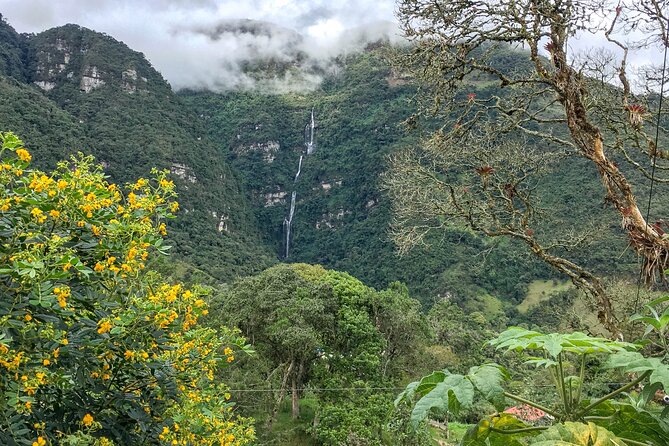 La Chorrera Cloud Forest & Waterfall Hike - What to Expect on the Hike