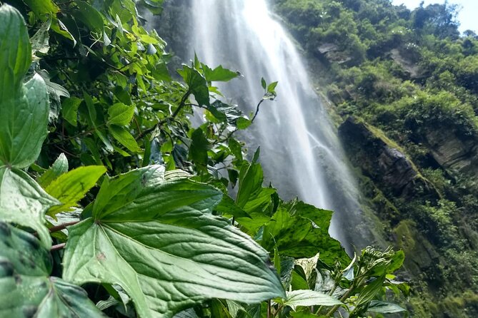 La Chorrera Cloud Forest & Waterfall Hike - Booking and Cancellation Policy