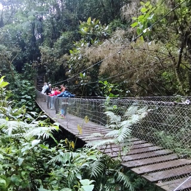 La Chorrera Waterfall Hike - Frequently Asked Questions