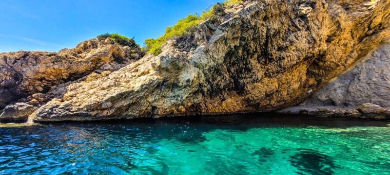 La Ciotat: Boat Tour to the Coves of Var and Embiez Island - Discovering the Natural Beauty of the Region