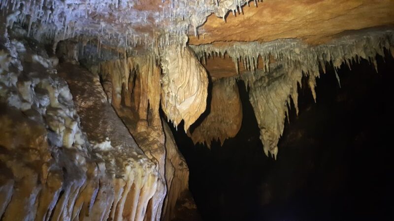 La Ciotat: Caving in Calanques National Park Half-Day Tour - Highlights of the Experience