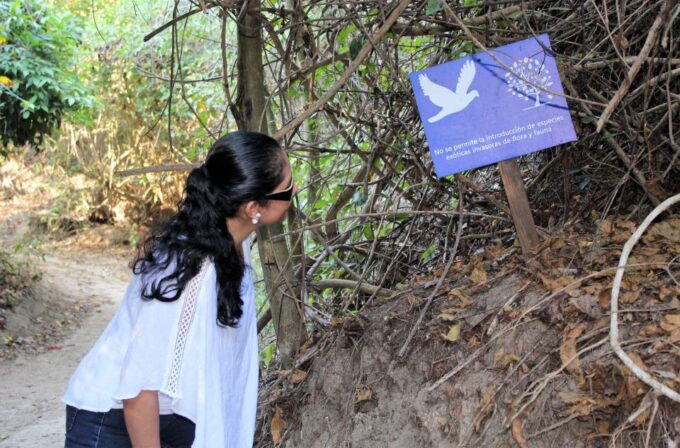 La Crucecita: Hiking and Snorkeling / Drinks and Fruits - Weather Policy