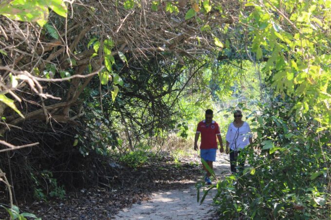 La Crucecita: Hiking and Snorkeling / Drinks and Fruits - Community Contribution