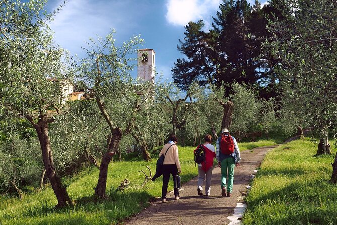 La Dolce Vita of the Renaissance - Half-Day Walking Tour - Transportation and Meeting Details