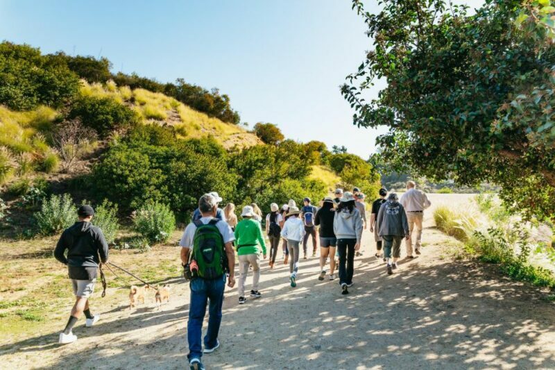 LA: Express Hollywood Sign Guided Walking Tour with Photos - Practical Details — Timing, Accessibility, and What to Bring