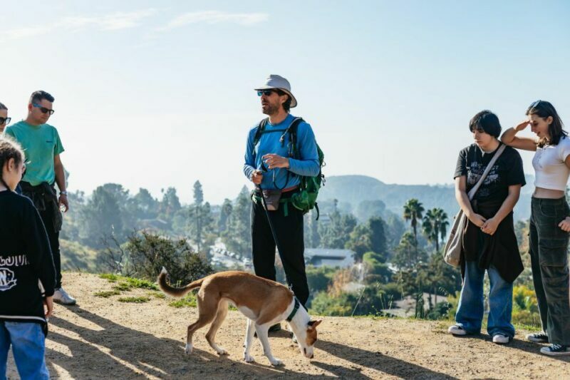 LA: Express Hollywood Sign Guided Walking Tour with Photos - The Sum Up — Who Will Love This Tour?