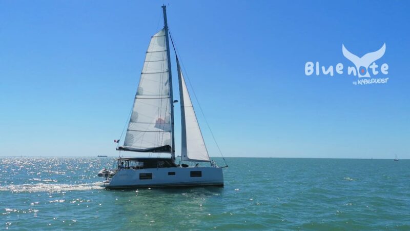 La Flotte, Ile De Ré: Sailing Catamaran Cruise - Experience Highlights