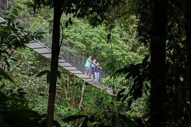 La Fortuna: Arenal Hanging Bridges Hiking Tour - Key Points