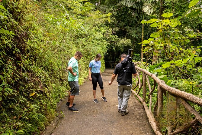 La Fortuna: Arenal Hanging Bridges Hiking Tour - Wildlife Spotting Opportunities