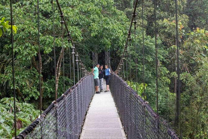 La Fortuna: Arenal Hanging Bridges Hiking Tour - Suitability for Families and Enthusiasts