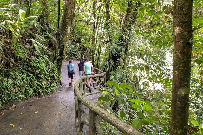 La Fortuna: Arenal Hanging Bridges Hiking Tour - Group Size and Accessibility