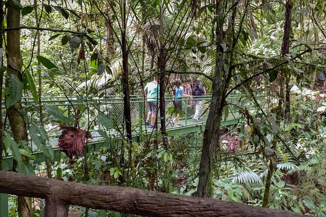 La Fortuna: Arenal Hanging Bridges Hiking Tour - Scenic Highlights of the Tour
